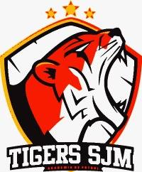 Tiger%20logo